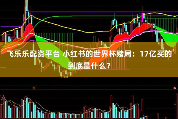 飞乐乐配资平台 小红书的世界杯赌局：17亿买的到底是什么？