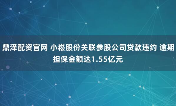 鼎泽配资官网 小崧股份关联参股公司贷款违约 逾期担保金额达1.55亿元